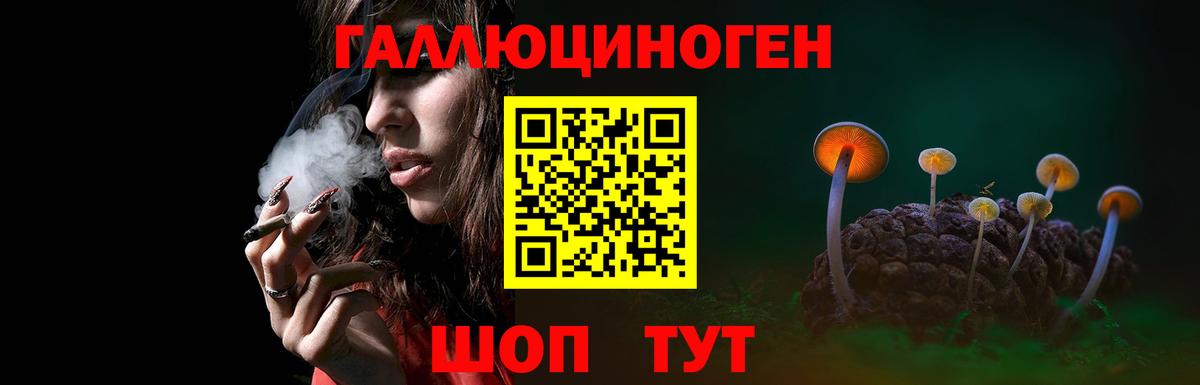 Псилоцибиновые грибы мухоморы  цена   Вход с VPN  Каменка  Псилоцибиновые грибы Magic Shrooms 